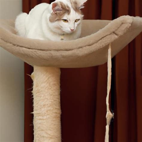 Creating a Homely Retreat for Your Feline Companion