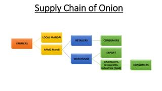 Creating a Reliable Onion Supply Chain