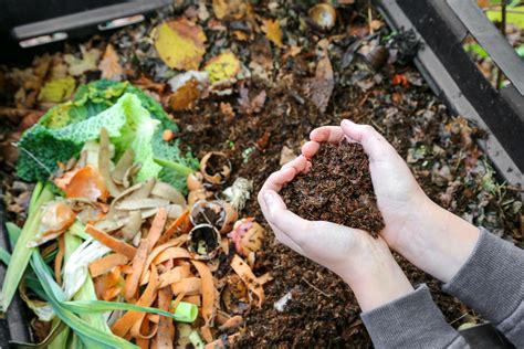 Creating a Tranquil Outdoor Environment with Organic Mulch