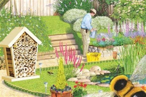 Creating a Wildlife-Friendly Habitat in Your Backyard