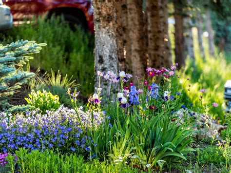 Creating a Year-Round Flower Garden: Plants for Every Season