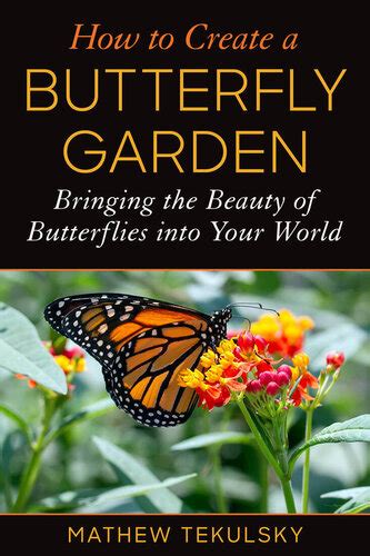 Creating an Oasis of Beauty and Transformation: Butterfly Gardens