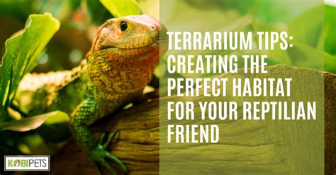 Creating the Ideal Habitat for Your Reptilian Companion