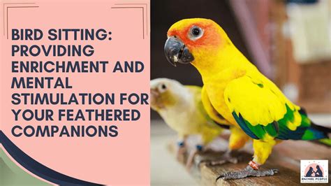 Creating the Ideal Living Environment for Your Feathered Companion