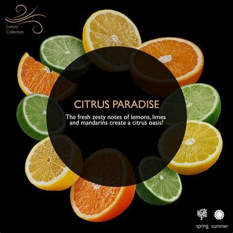 Creating the Perfect Environment for Your Citrus Paradise