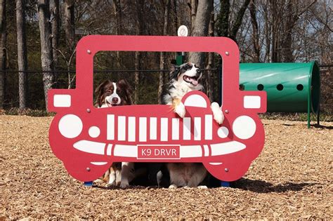 Creating the Perfect Puppy Playground