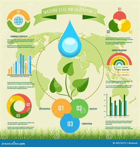 Creating the Perfect Water Environment