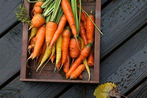 Creative Recipes and Ideas for Indulging in Homegrown Carrots