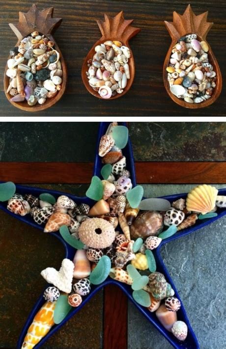 Creative Ways to Showcase and Make the Most of Your Seashell Collection