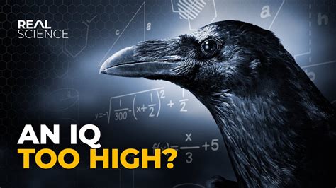 Crow Intelligence: Delving into the Unexpected Cognitive Abilities