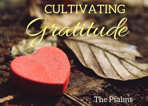 Cultivating Gratitude: Embracing Appreciation as the Key to Attracting Bountiful Blessings