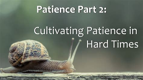 Cultivating Patience: Understanding the Time it Takes to Grow