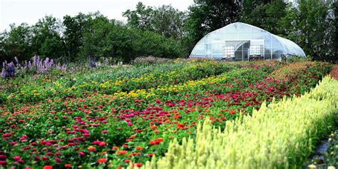 Cultivating Relationships with Local Flower Suppliers