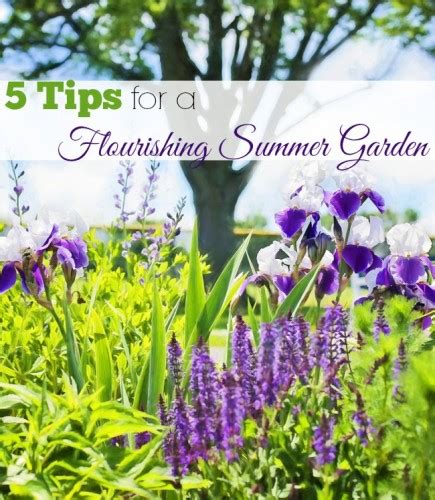 Cultivating the Graceful Elegance: Expert Tips for a Flourishing Garden