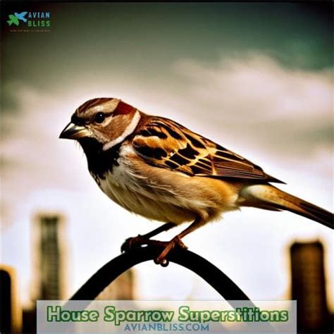 Cultural Beliefs and Superstitions Surrounding Sparrow Dreams