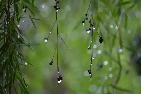 Cultural Influences on Weather Symbolism in Dreams: How Different Societies Perceive Rain and Sun