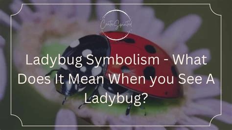 Cultural Interpretations: Symbolism of Bugs in Various Cultures