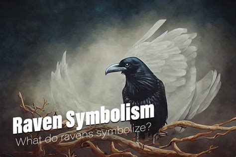 Cultural Perceptions of the Raven as a Symbol