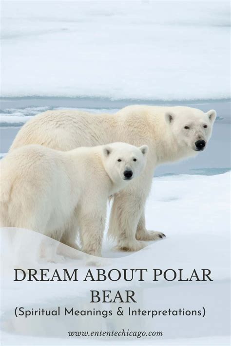 Cultural Perspectives: Exploring Varying Interpretations of Polar Bear Encounter Dreams