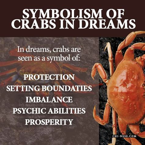 Cultural Perspectives: Exploring the Symbolic Significance of Mud Crabs in Different Societies