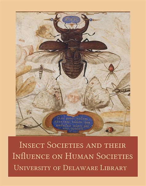 Cultural Perspectives: How Different Societies Interpret Dreams of Insects Burrowing into the Flesh