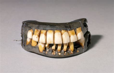 Cultural Perspectives: Wooden Teeth in Folklore and Mythology