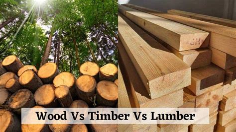 Cultural Perspectives on the Symbolism of Timber Logs