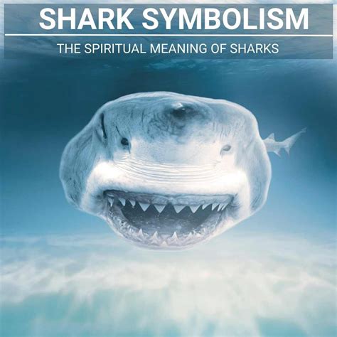 Cultural Significance of Shark Imagery in Dreamscapes