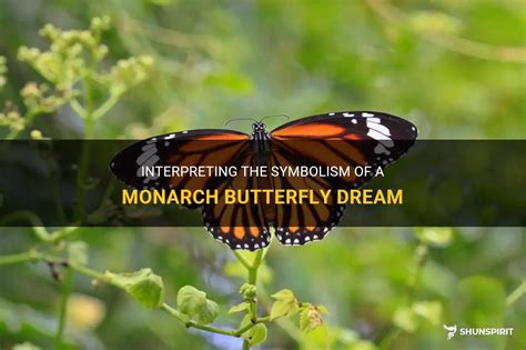 Cultural Variations in Interpreting Dreams Involving Monarchs