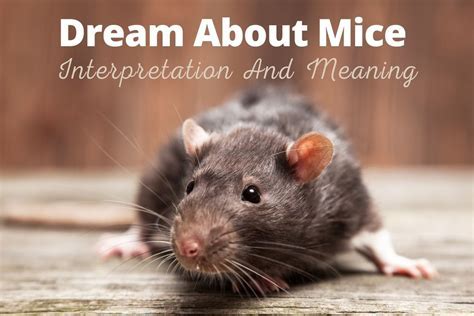 Cultural and Historical Interpretations of Mice in Dreams