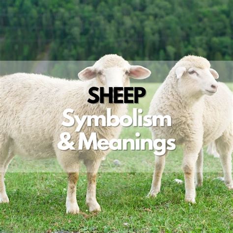 Cultural and Historical Perspectives on Symbolism Associated with the Sheep's Head