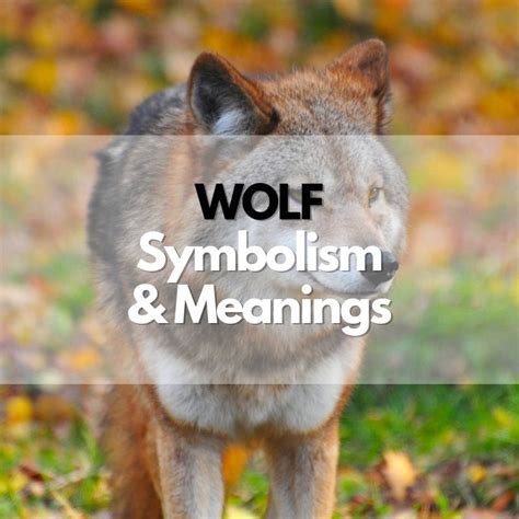 Cultural and Historical Perspectives on Wolf Symbolism