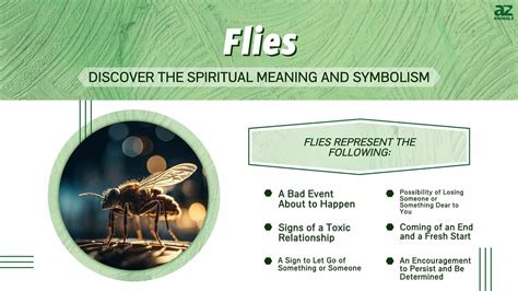 Cultural and Historical Perspectives on the Symbolic Meaning of Flies in Dreams