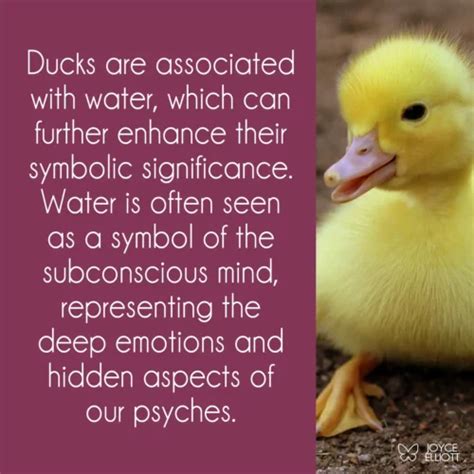 Cultural and Mythological References: Significance of White Ducklings in Symbolic Traditions