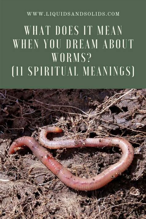 Cultural and Mythological Symbolism of Expelling Worms: A Deeper Look into Associated Beliefs