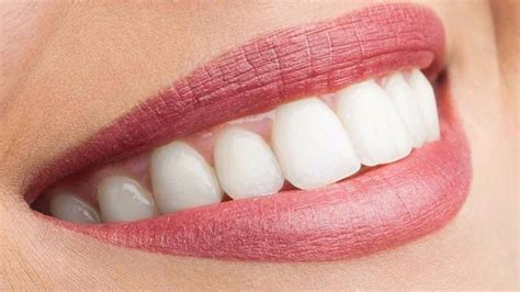 Cutting-Edge Techniques: Advancing Tooth Regrowth in the Laboratory