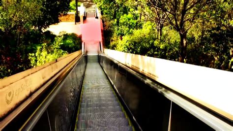 Dare to Ride: Conquering the Excitement of an Escalator Adventure