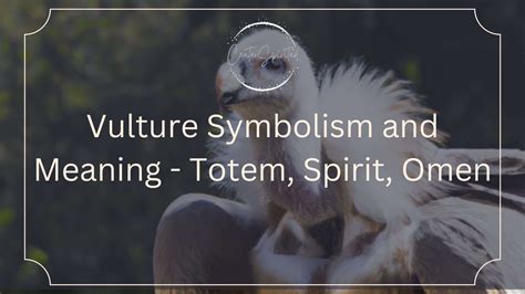 Dark Omens or Spiritual Guides? Interpreting the Dual Nature of Vulture Symbolism