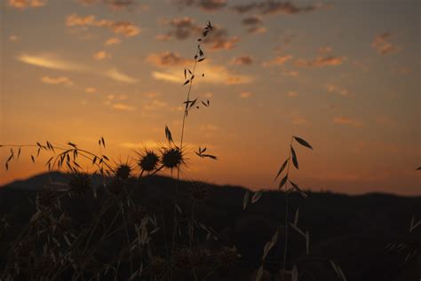 Dawn to Dusk: Memories That Follow the Sun