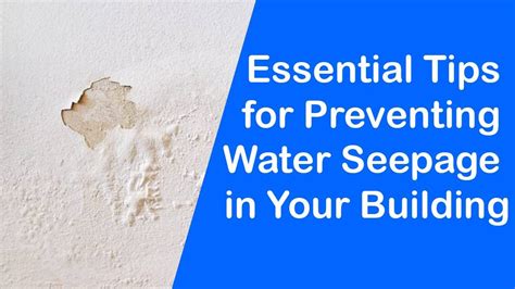 Dealing with the Emotional Consequences of Water Seepage in Your Living Space