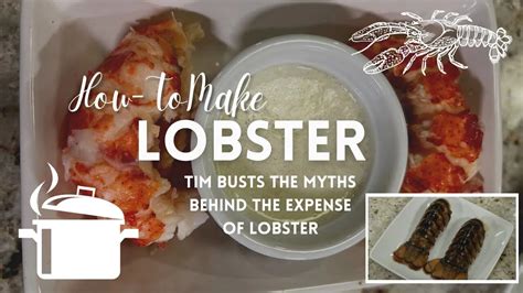 Debunking Misconceptions Surrounding Lobster Keeping