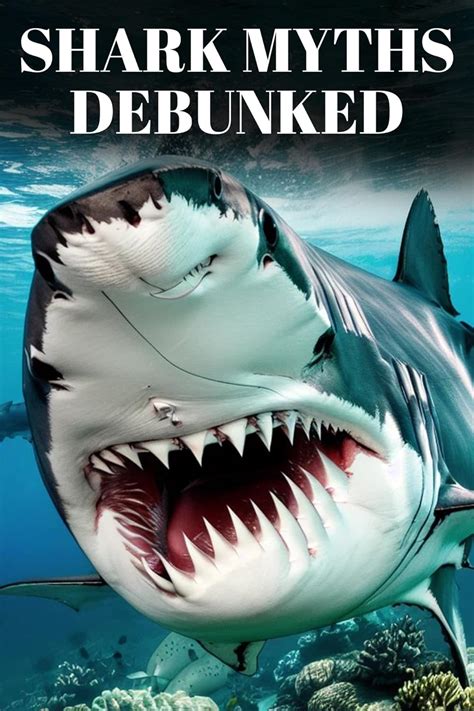 Debunking Shark Myths: Unraveling Reality from Fiction