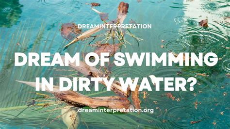 Deciphering Dreams of Swimming in a Dirty Pool: Potential Interpretations