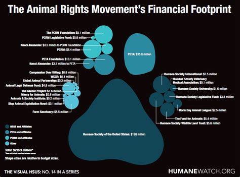 Deciphering Mslolo's Financial Footprint