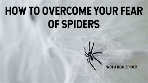 Deciphering Spider Nightmares: Overcoming Fear and Finding Strength