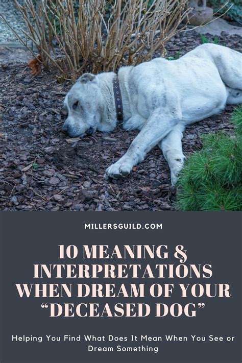 Deciphering Symbolic Messages: Interpreting the Significance of Dreams Involving a Departed Canine Companion