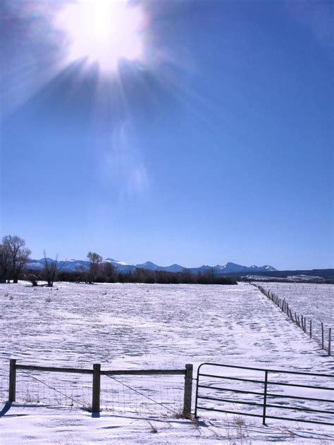 Deciphering the Allure of Snow-Blanketed Reveries