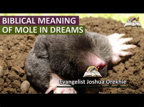 Deciphering the Concealed Messages Behind Familiar Mole Dreams