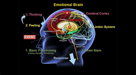 Deciphering the Emotions Experienced during the Dream 