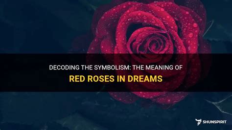 Deciphering the Enigma: Decoding the Meaning of Rose Hues in the Realm of Dream Analysis